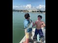 tarpon for the gallery