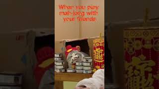 OMG! Interesting cat! When you play mah-jong with your friends當你和朋友打麻將時你的可愛財神貓咪在做什麼？#cutecat#小財神#貓咪