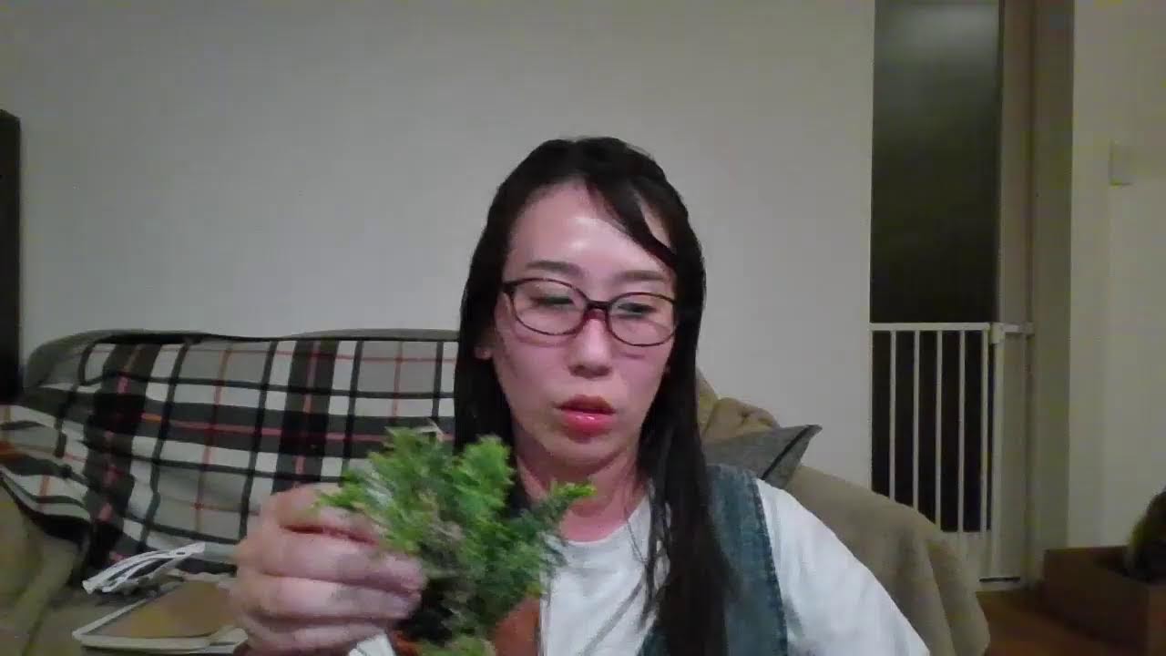 よなよな作業