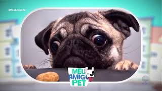 CURIOSIDADES SOBRE A RAÇA PUG by Acás Felipe 252 views 3 years ago 1 minute, 28 seconds