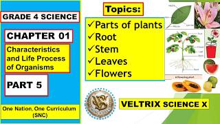 Grade 4 Science Chapter 1 | Characteristics and Life Processes of Organisms | Part 4
