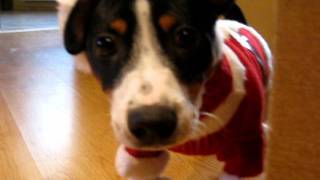 Barney's Christmas Video.avi