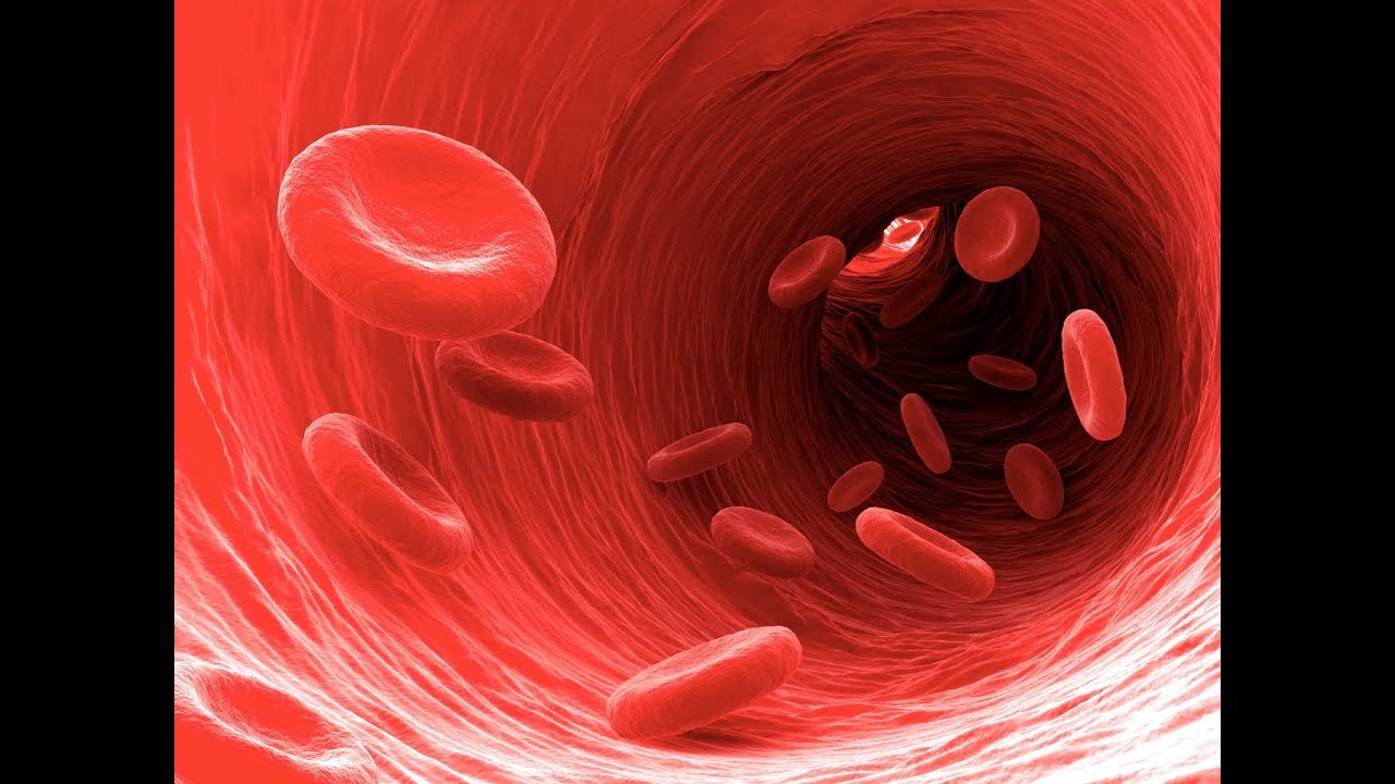 Bicara DARAH Wanita 1.0 | Maulana Mansor Ismail