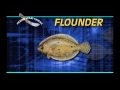 How to clean flounder by captain vincent russo get max yield