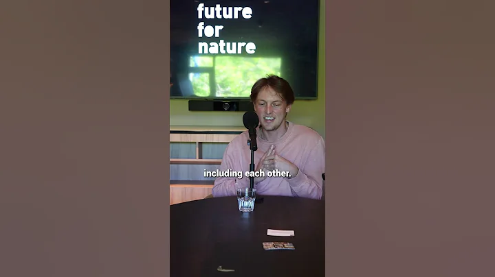 Meet the green and golden bell frog! 🐸