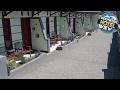 Mentigen Homestay | Bromo, Indonesia | Hotel Review 🏩