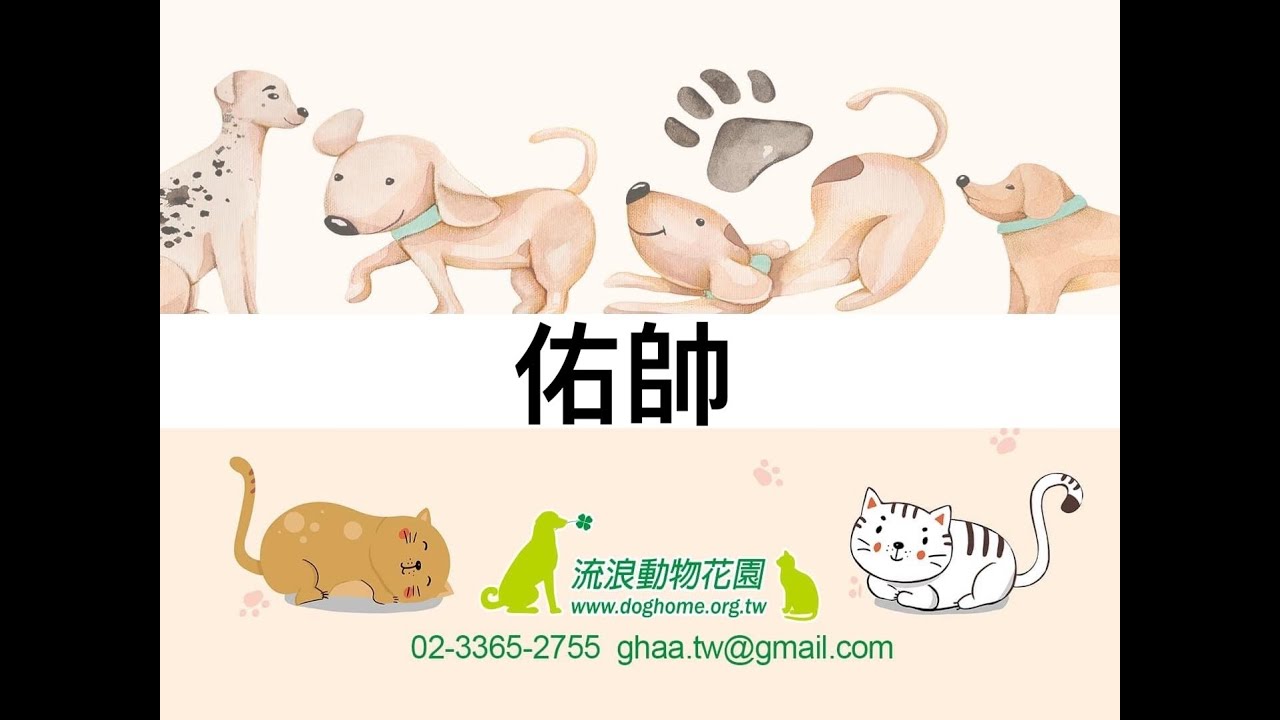 流浪動物花園x黏tt小可愛 等家的佑帥x Youtube