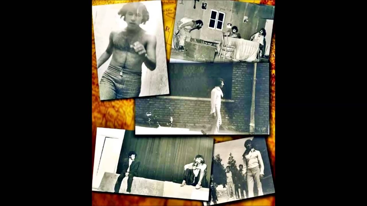 Ata Servati, Founder/Executive Director ~ THE LOTUS LIGHT FOUNDATION