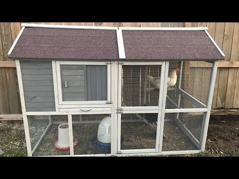 Assembly Instructions Innovation Pet Deluxe Farm House Chicken Coop