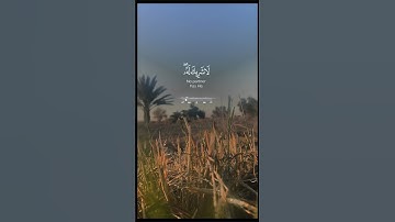 قران كريم لأ تهرب بلأ أسمع #اكسبلور #الرحمن #يارب #دويتو