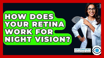 How Does Your Retina Work For Night Vision? - Optometry Knowledge Base