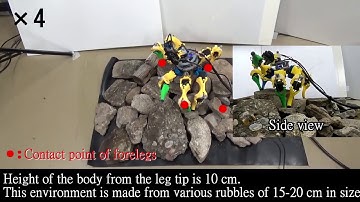Hexapod robot that walks on rocks