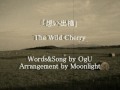 「想い出橋」  The Wild Cherry