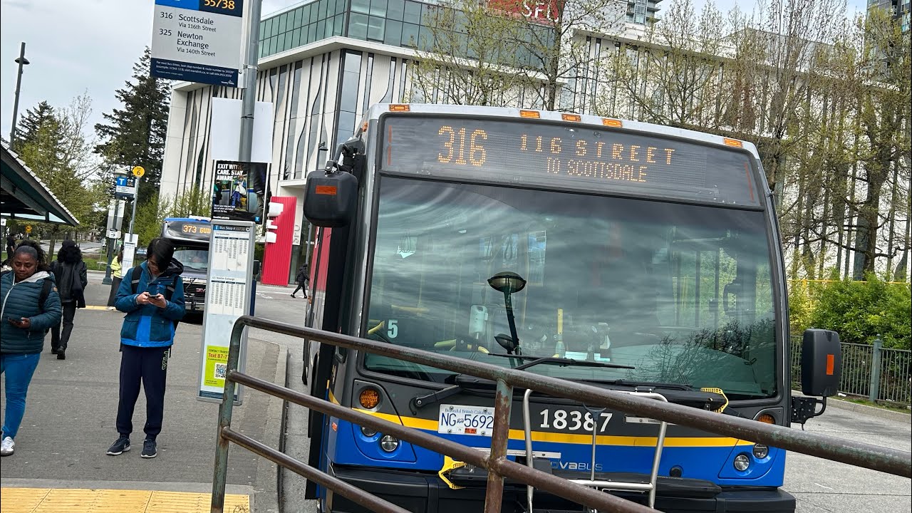 TRAN VAN THO EM　通電確認AWM800 0428-18 Translink 2018 Nova Bus LFS HEV 18387 on the 316 116th Street to