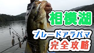 【相模湖】ブレードアラバマ完全攻略