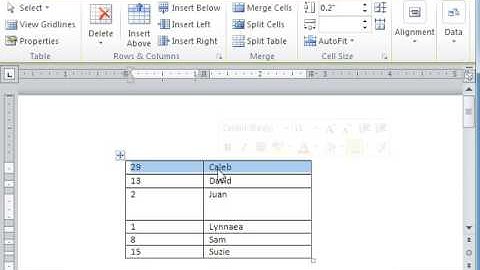 Word 2010 Resizing Table Rows And Columns