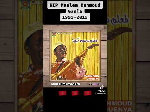 Gnawa Essaouira Maalem