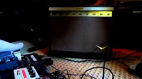 Magnatone Troubador 213 and DAM Meathead Deluxe (5...