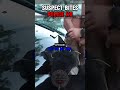 Suspect BITES BACK at Police K9!! #police #dog