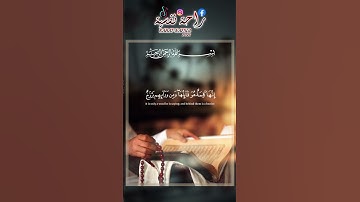 القارئ الشيخ ياسر الدوسري #قرآن#قرآن_كريم#قرآن_كريم_ارح_سمعك#explore #اكسبلور #بودكاست#ياسر_الدوسري