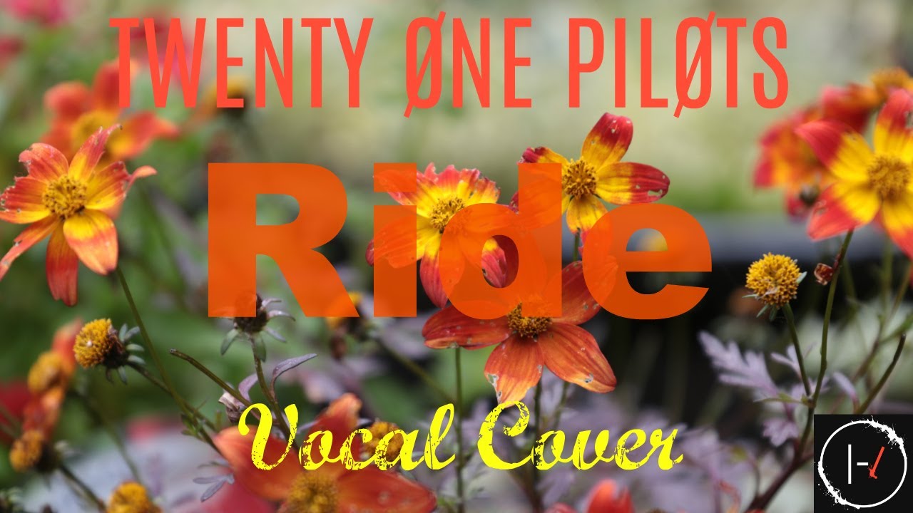Twenty One pilots Ride (Vocal Cover) ☆ Adam Pring ☆ YouTube