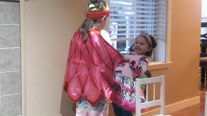 The Day That the Owl King and Fairy Princess Met