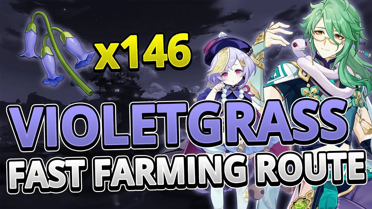VIOLETGRASS 146 Locations FAST FARMING ROUTE Genshin Impact 3.6 YouTube