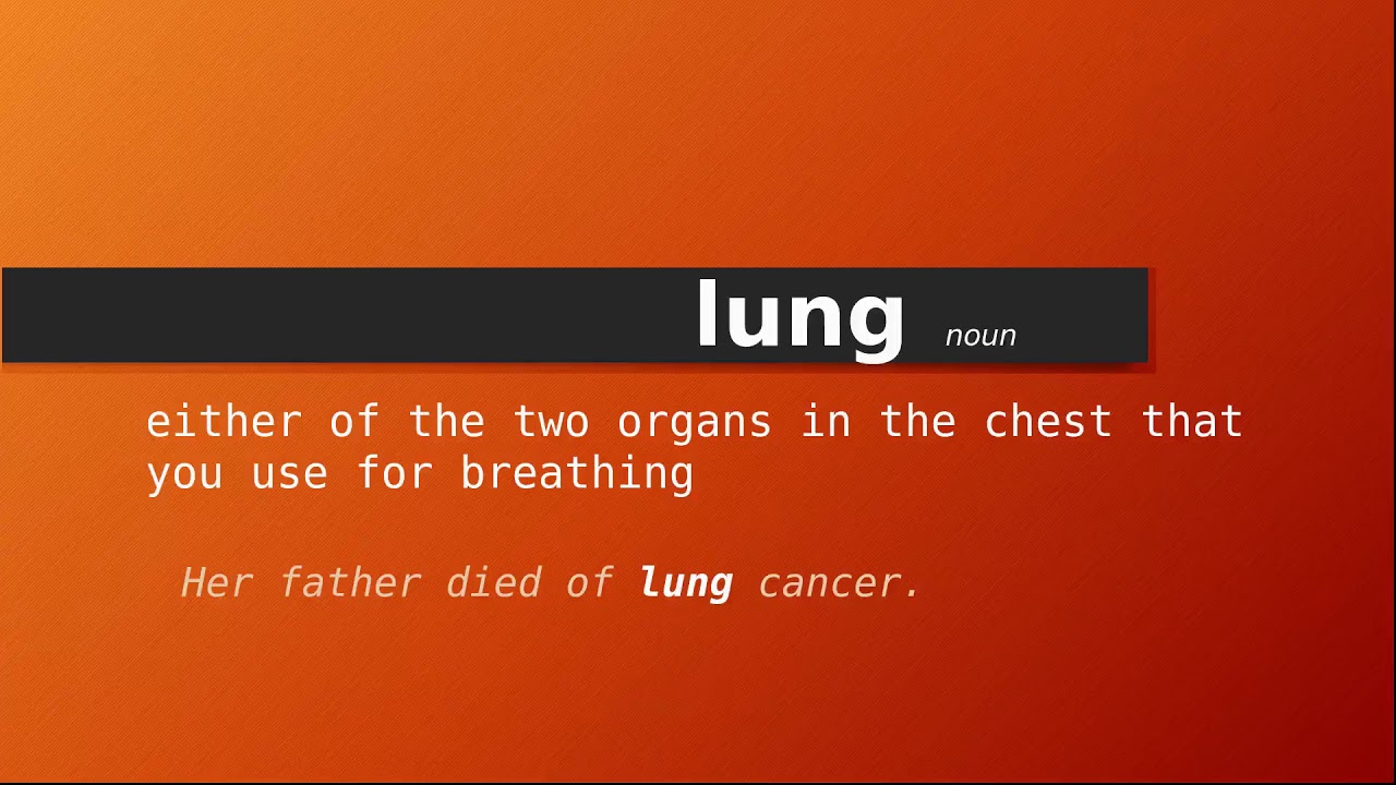 lung , Meaning of lung , Definition of lung , Pronunciation of lung YouTube