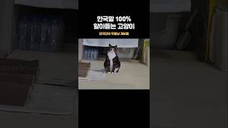언니들 입에서 똥내 나요