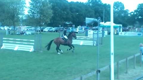Diablo v stallion / 5year old warm up Hickstead