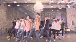 SEVENTEEN (세븐틴)  예쁘다 (Pretty U) Dance Ver. (Mirrored)