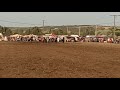 وعدة ينارو بمستغانم 2018 النسيسة المقدم عبد القادر طاهري