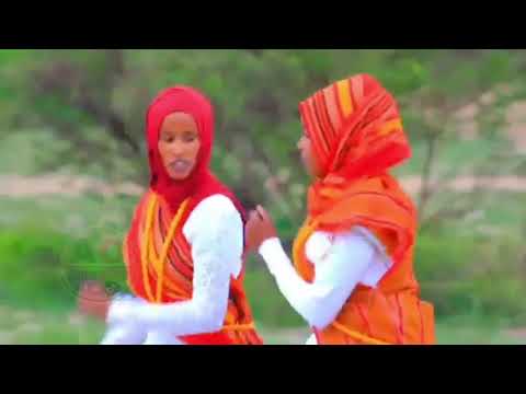 DHAANTO CUSUB KOWSAR XASAN YARE 