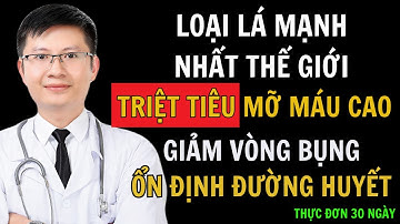 PHÉP LẠ! 1 LOẠI LÁ TIÊU DIỆT BỆNH MỠ MÁU CAO, BỤNG MỠ và ỔN ĐỊNH ĐƯỜNG HUYẾT | Cao Minh Trường