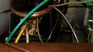 The Bug Doctor Minutefollow The Matter