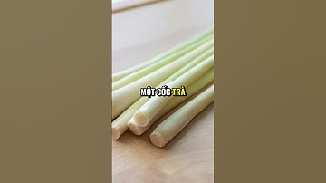 Hệ Tiêu Hóa Khỏe Mạnh – Bí Quyết Tự Nhiên Từ 1 Ly Nước Thảo Dược! #Câythuốc #Thảodược #Namdược