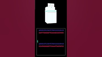 FASTQ files store your raw DNA like this! ✨😊 #dna #genome #genome #science