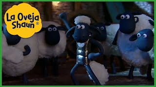 La Oveja Shaun 🐑 Ovejas bailarinas 🐑 Dibujos animados para niños