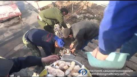cassava crushing machine