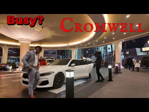 I Gambled $1000 on DJ Wild Poker (Rules Explained)