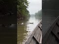 🐍 MASSIVE ANACONDA APPEARS NEAR MY BOAT (Amazon River) #shorts