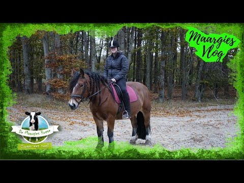 Vlog 135, 18 nov. 2022