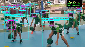 yolo-fastest model for crowded human detection