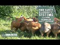 Food Safety in Agroforestry Systems | Regenerative Poultry with Reginaldo Haslett-Marroquín