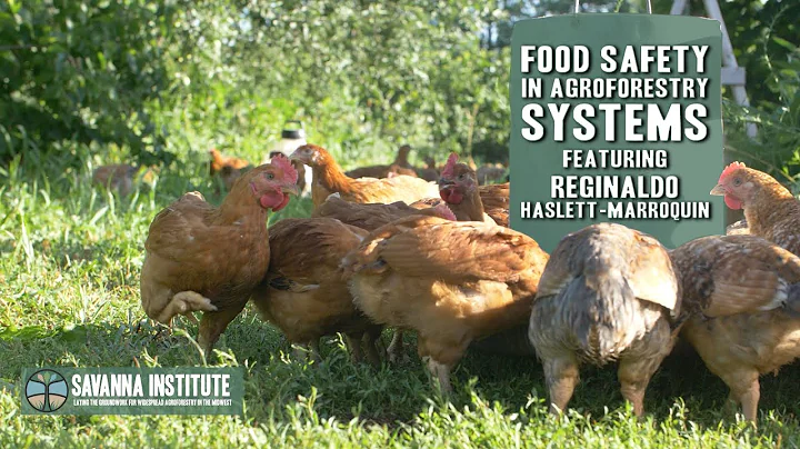 Food Safety in Agroforestry Systems | Regenerative Poultry with Reginaldo Haslett-Marroquín