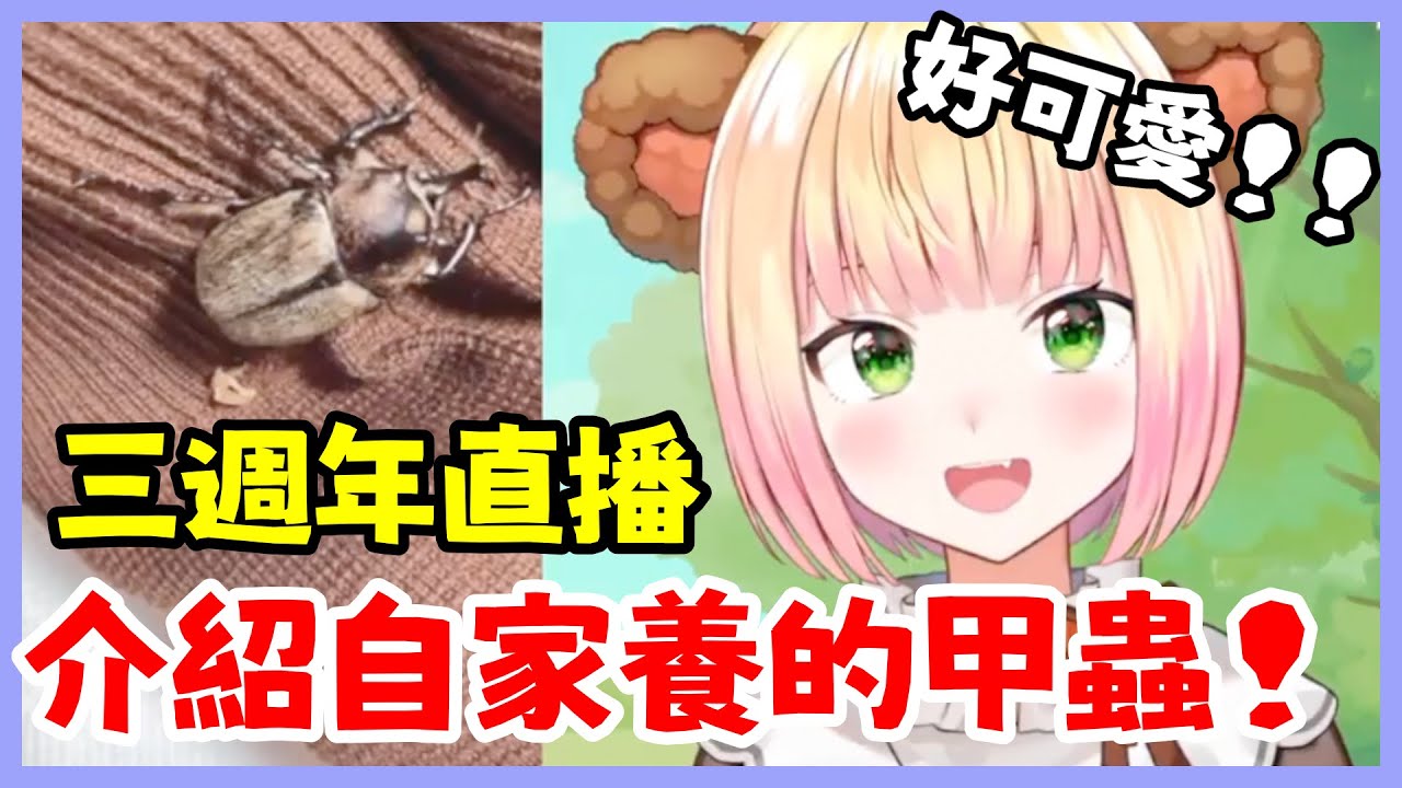 Nene與眾不同的3週年直播！！！介紹(炫耀)自己所愛的“家人”XD【桃鈴ねね/ホロライブ】【Vtuber遜炮中翻】