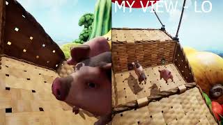 Funny secret side story (part 2 - Svin)