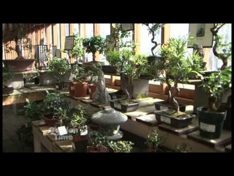 Portland Nursery Bonsai You Portland Nursery Bonsai