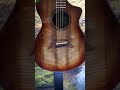 Beautiful Acoustic Guitars Breedlove Booth NAMM 2024  #guitarlessons  #epicguitarinstruction