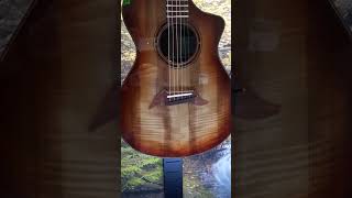 Beautiful Acoustic Guitars Breedlove Booth NAMM 2024  #guitarlessons  #epicguitarinstruction